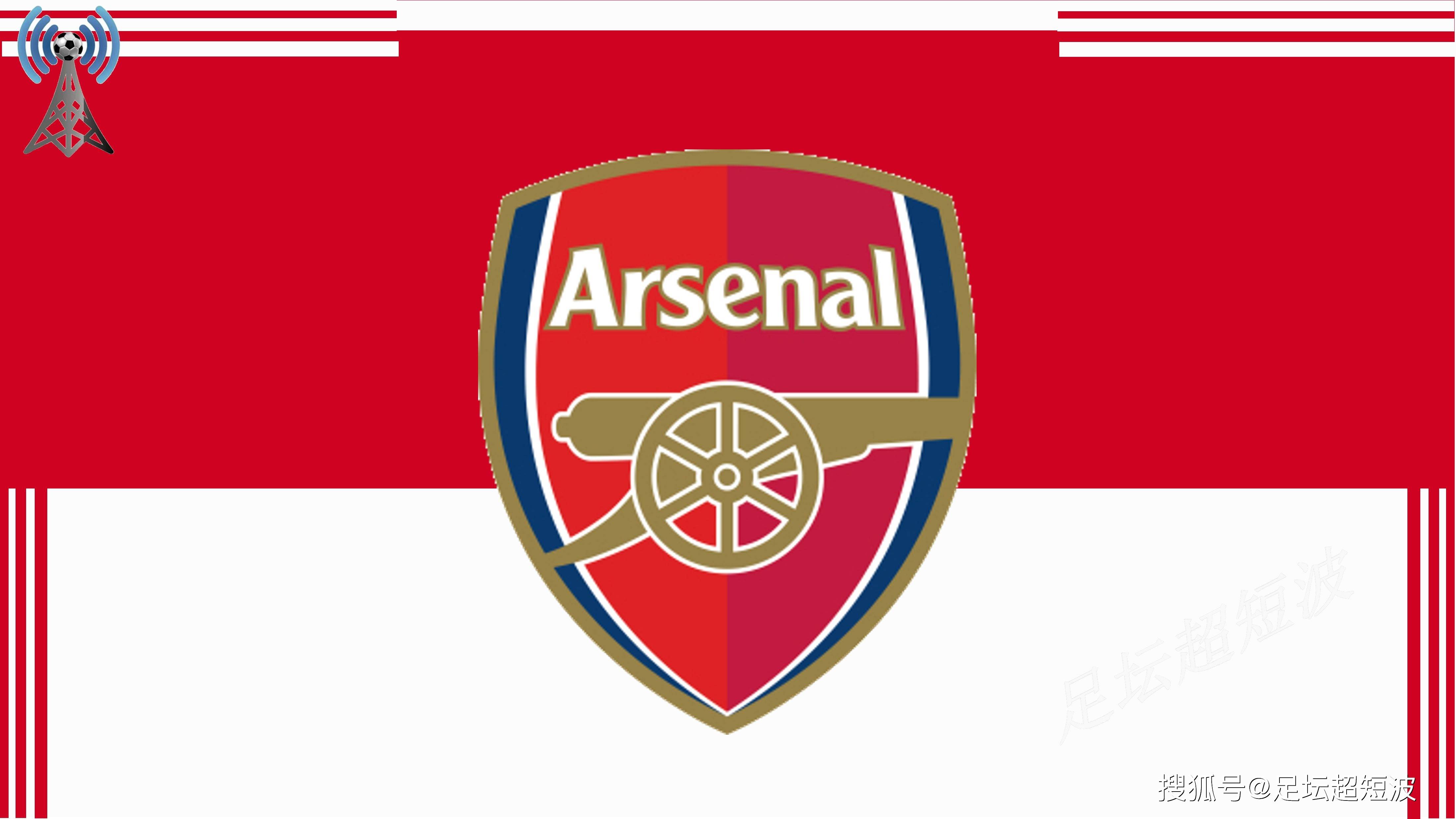 维希涅夫斯基：主场对阵荷兰是梦想，上场吃牌是因不懂规则